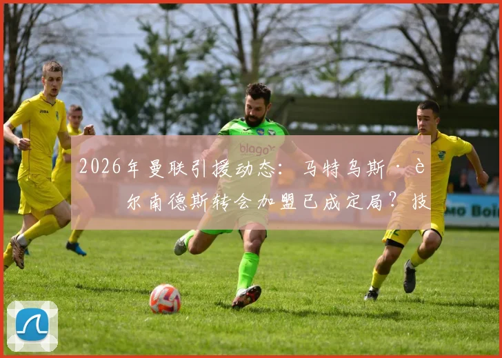 2026年曼联引援动态:马特乌斯·费尔南德斯转会加盟已成定局?技术特点、转会费及对红魔中场影响深度分析